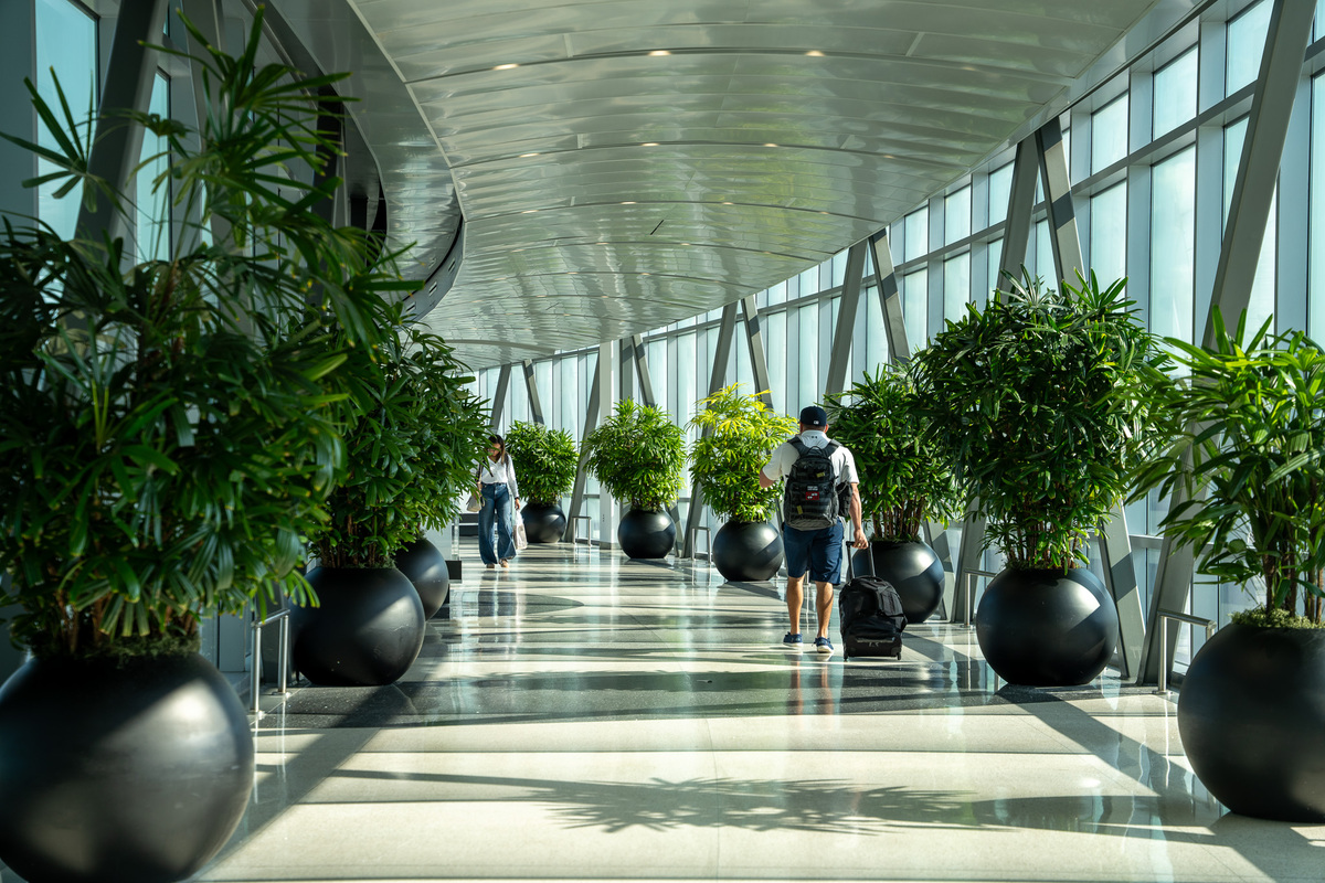 7 Tips for a Hassle-Free Flight Experience